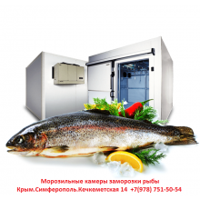 Камеры Заморозки Рыбы. Морозильное Оборудование.